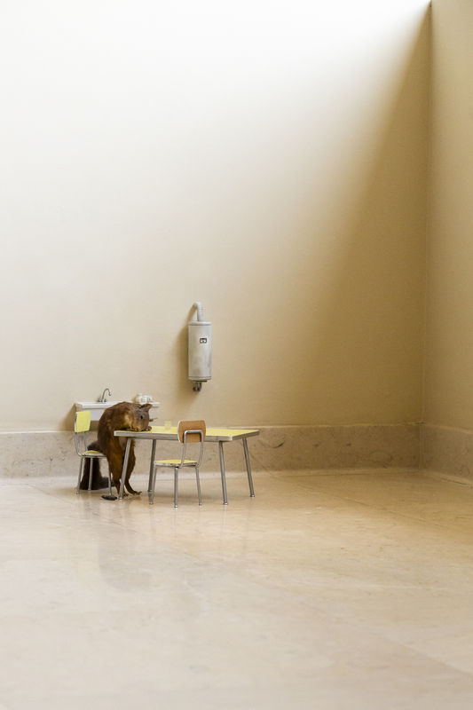 Installation view of the exhibition, “Maurizio Cattelan: Sussurro,” at Casa Serralves