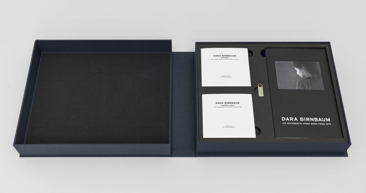 Image: Dara Birnbaum