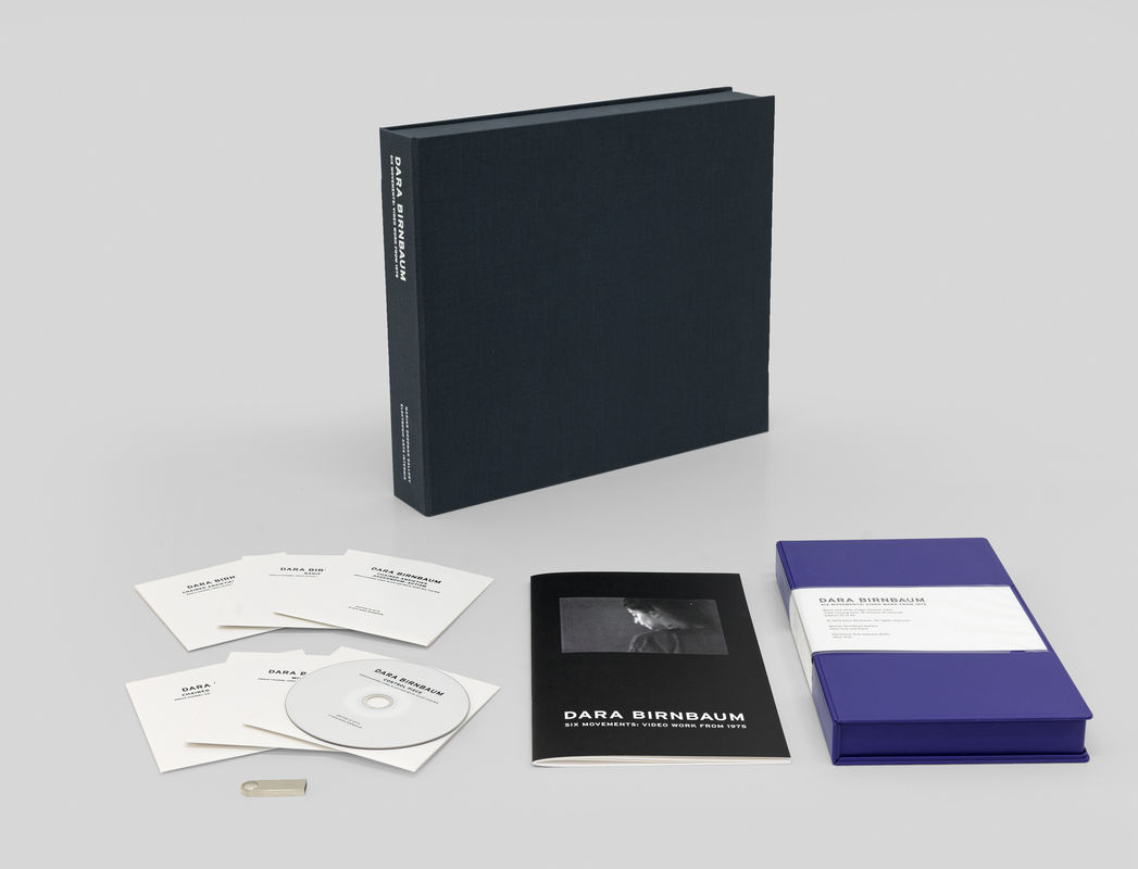 Image: Dara Birnbaum