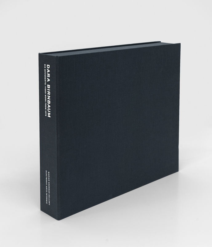 Image: Dara Birnbaum