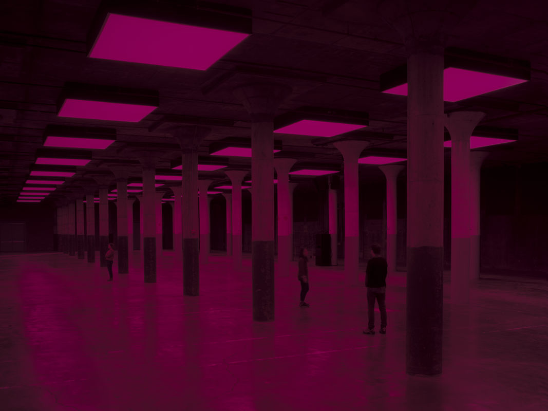 Steve McQueen, Bass , 2024. Installation view, Dia Beacon, New York, May 12, 2024 – April 14, 2025. © Steve McQueen. Photo: Bill Jacobson Studio , New York . Courtesy Dia Art Foundation