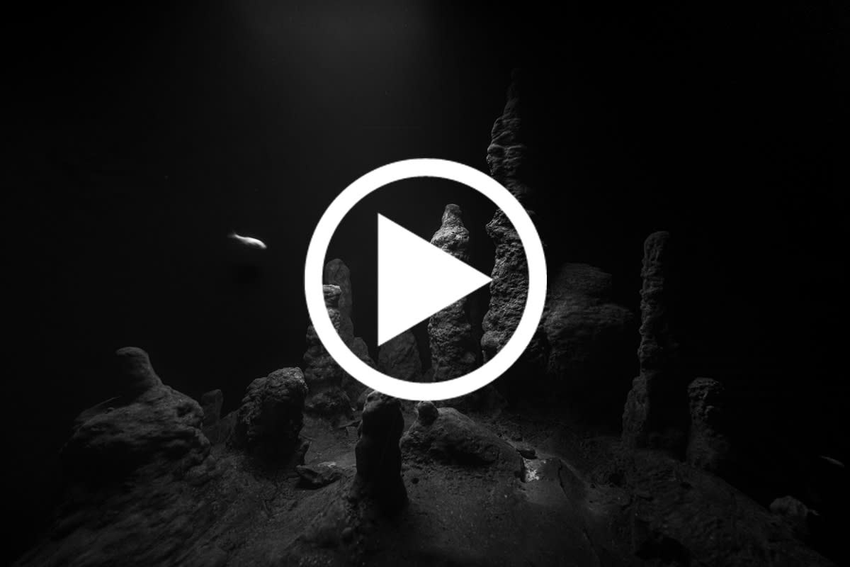 Image: All Access – Schinkel Pavillon, Berlin