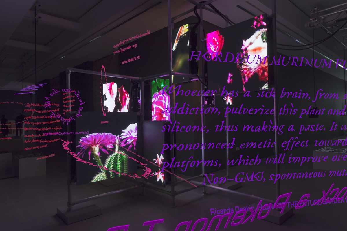 Image: Hito Steyerl at Serpentine Galleries