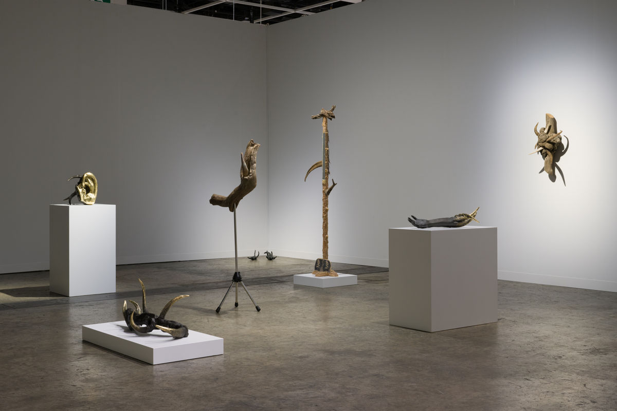 Image: Jantsankorol Erdenebayar