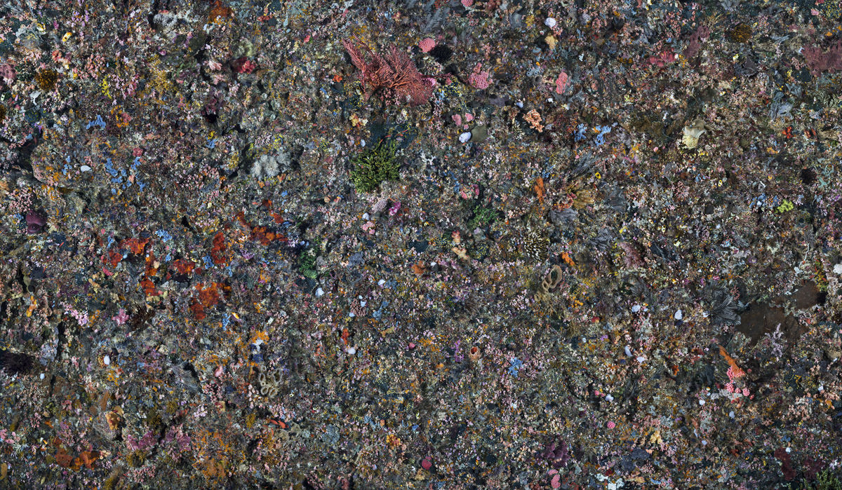 Image: Edward Burtynsky