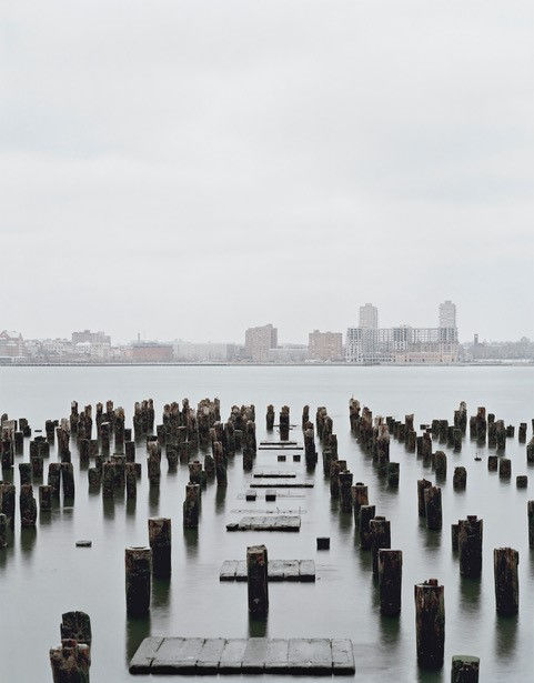 Image: Janelle Lynch