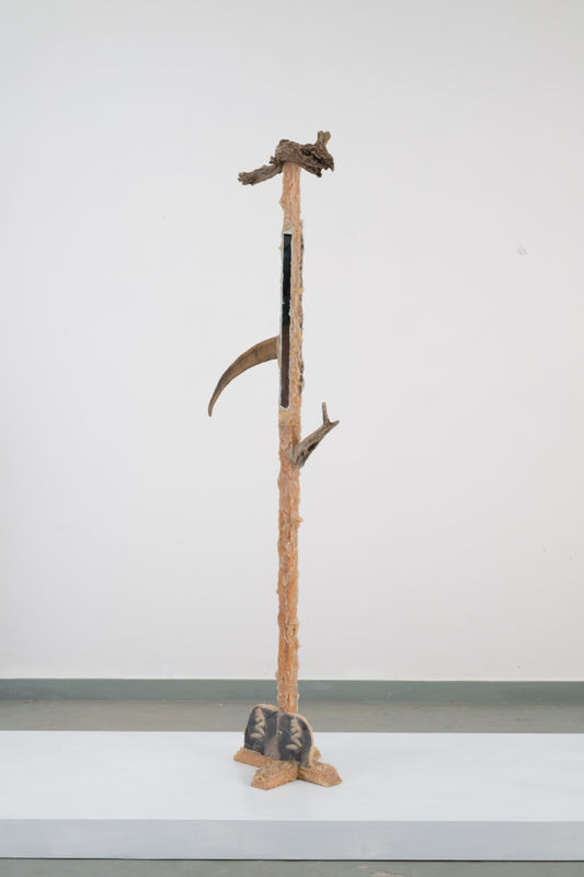 Image: Jantsankhorol Erdenebayar