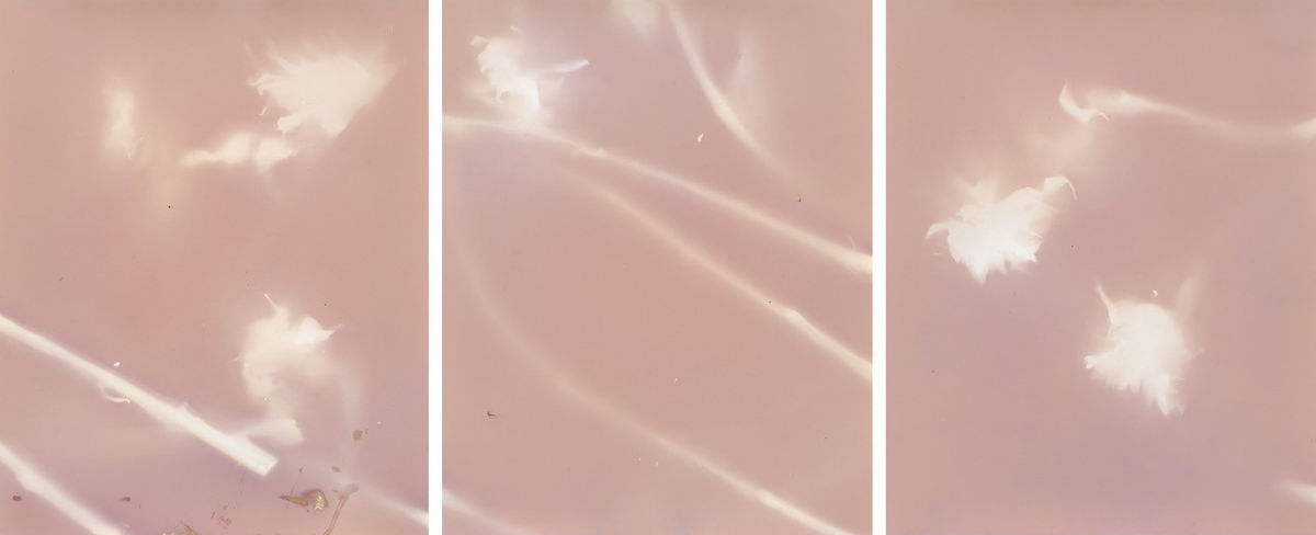 Image: Janelle Lynch