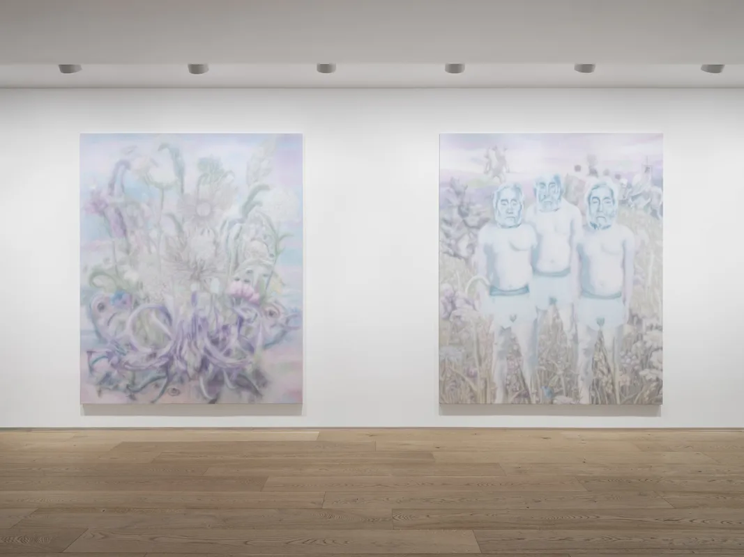 Image: Observing from a Distance, or Perhaps Dissolving into It