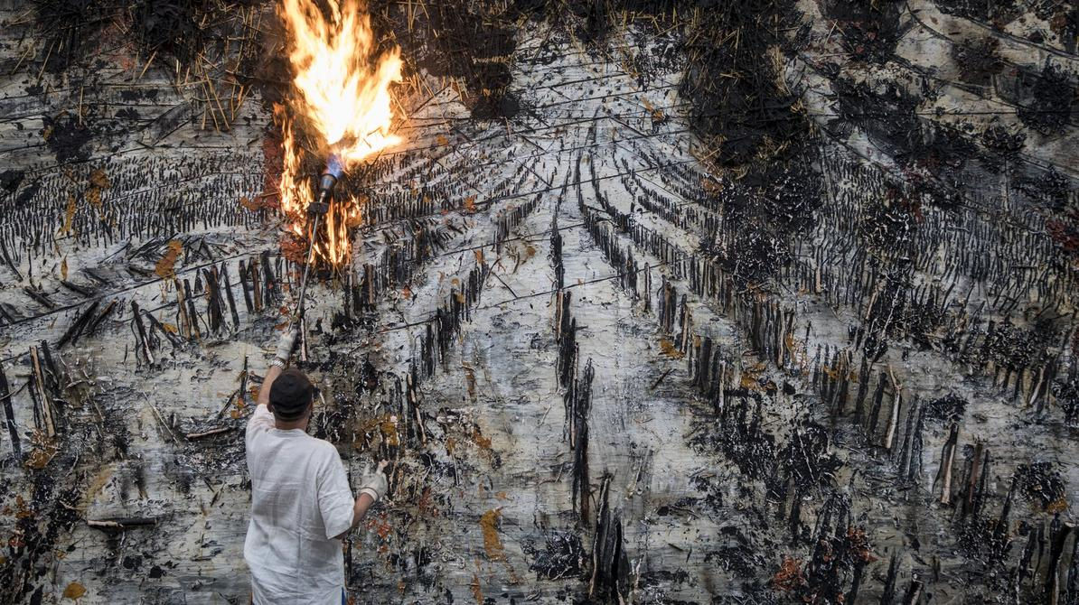 Image: Anselm Kiefer, l’irrésistible ascension d’un artiste allemand en France