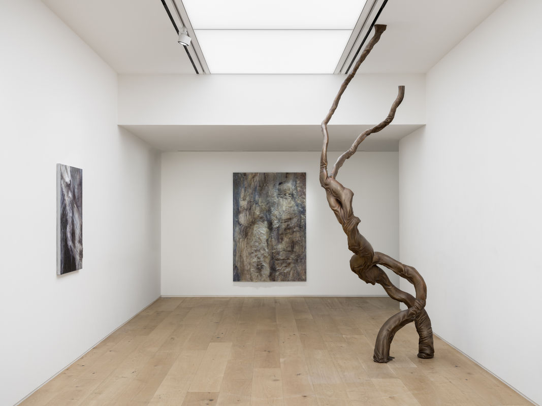 Image: Heemin Chung: Garden of Turmoil