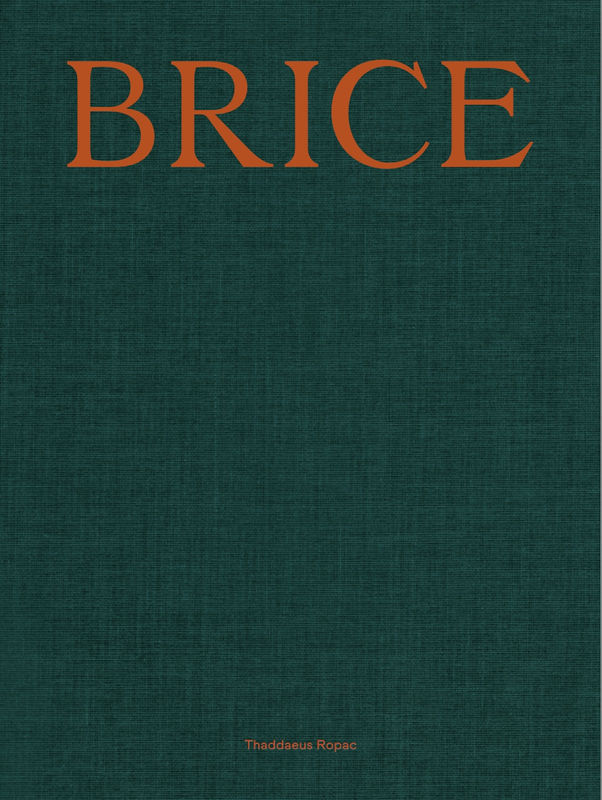 Image: Lisa Brice book launch