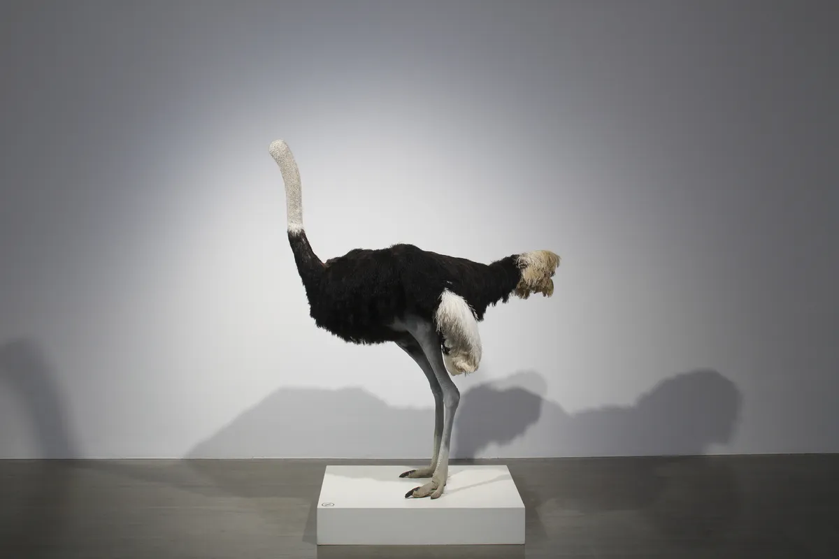 Image: 'David Shrigley: Lose Your Mind’