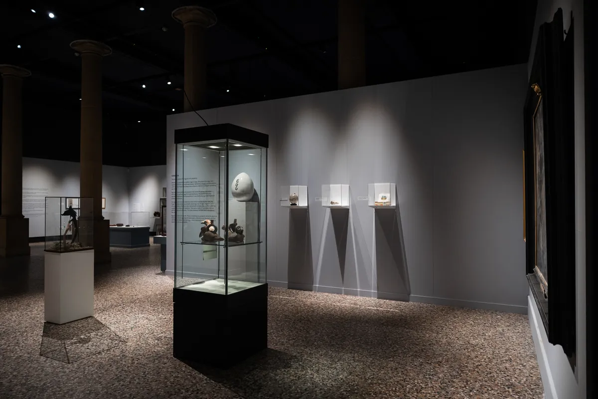 Image: David Shrigley features in 'Murmuration'