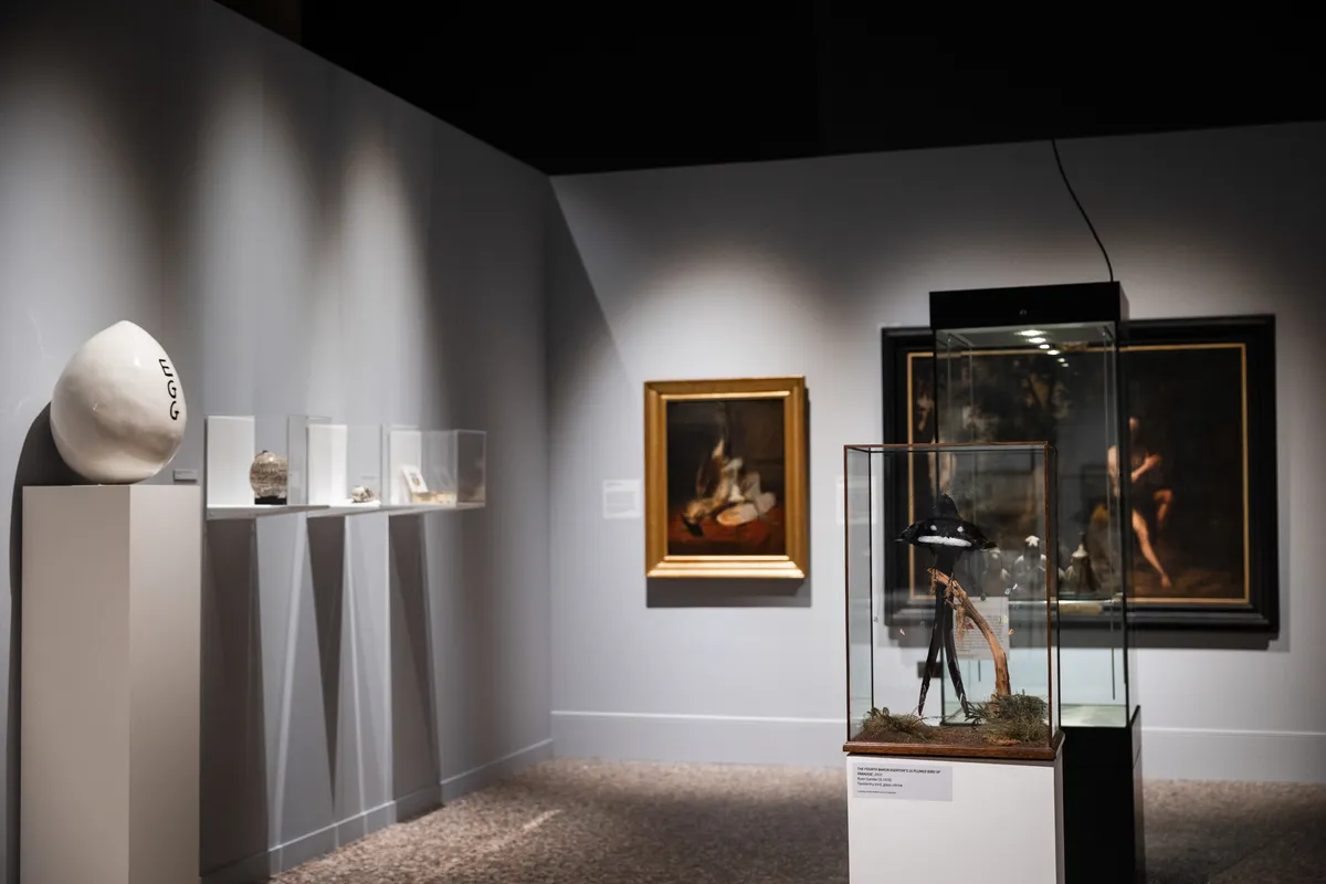 Image: David Shrigley features in 'Murmuration'