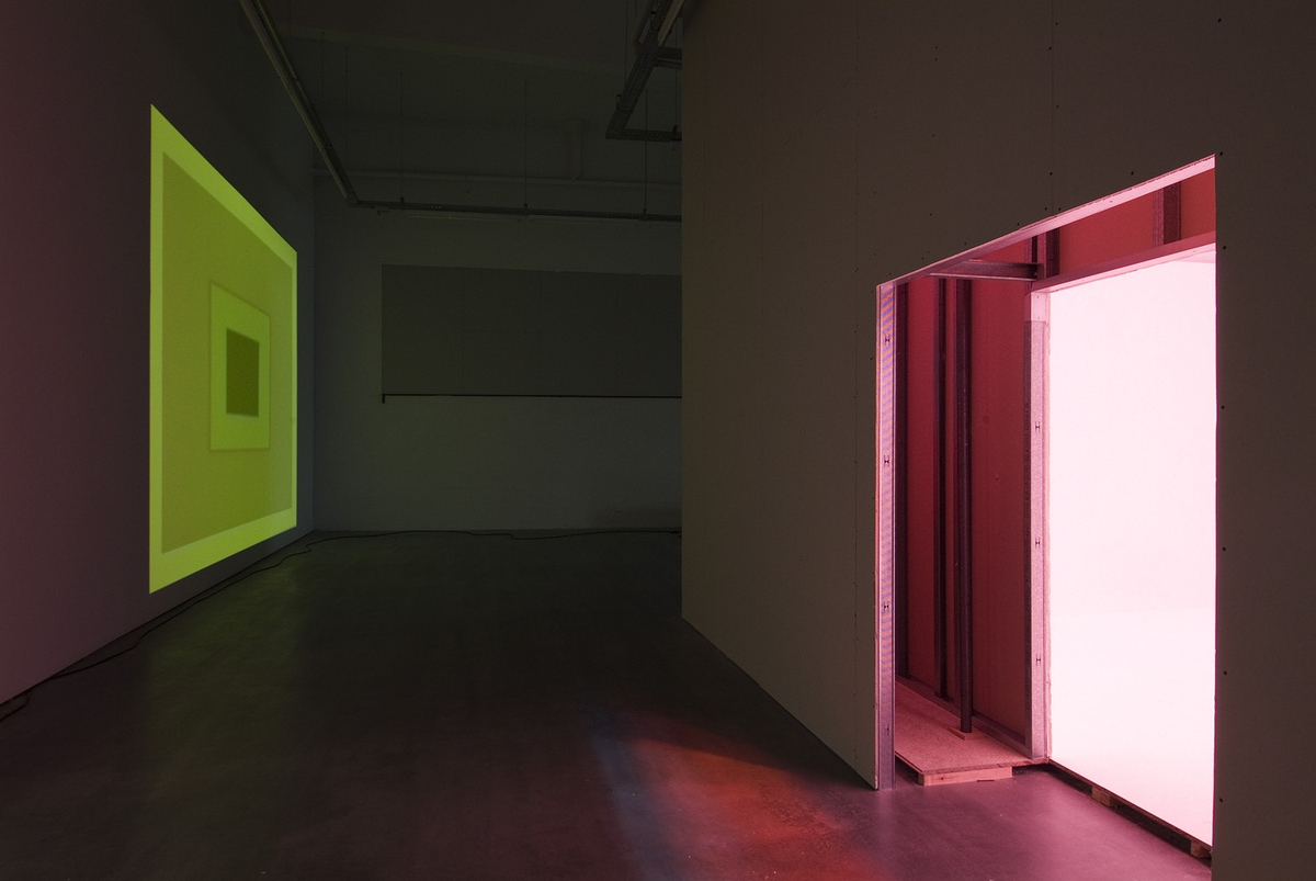 Serendipity Ann Veronica Janssens