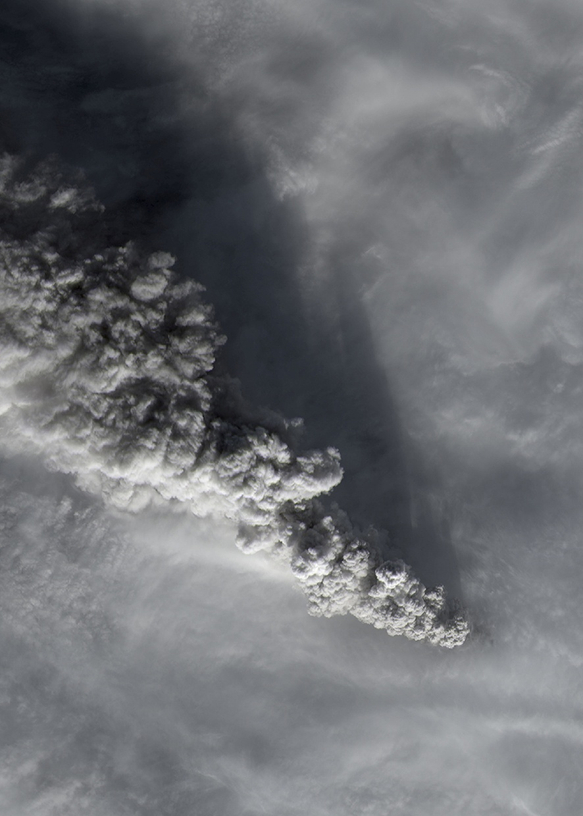 Naissances Latentes Ann Veronica Janssens