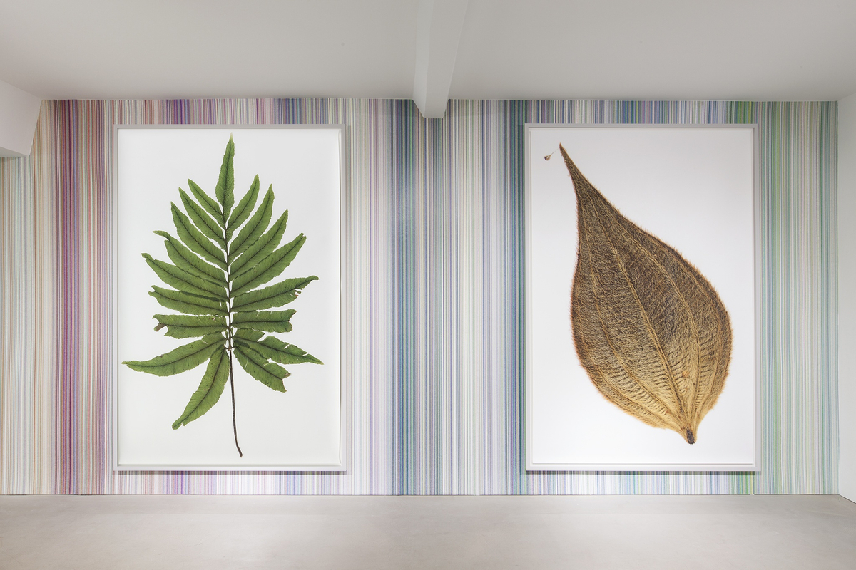 Anarcheology Christoph Keller