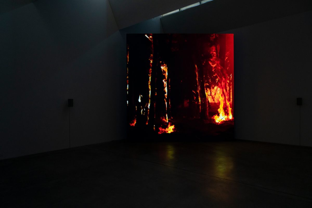 Laziness of Action David Claerbout