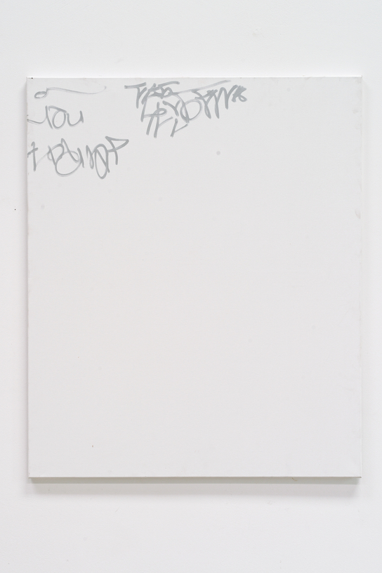 Graffiti With Karin Sander