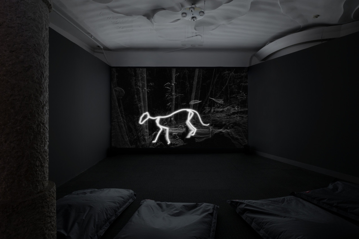 Now Open! LOOP Fair 2021 with Daniel Steegmann Mangrané La Pedrera – Casa Milà, Barcelona