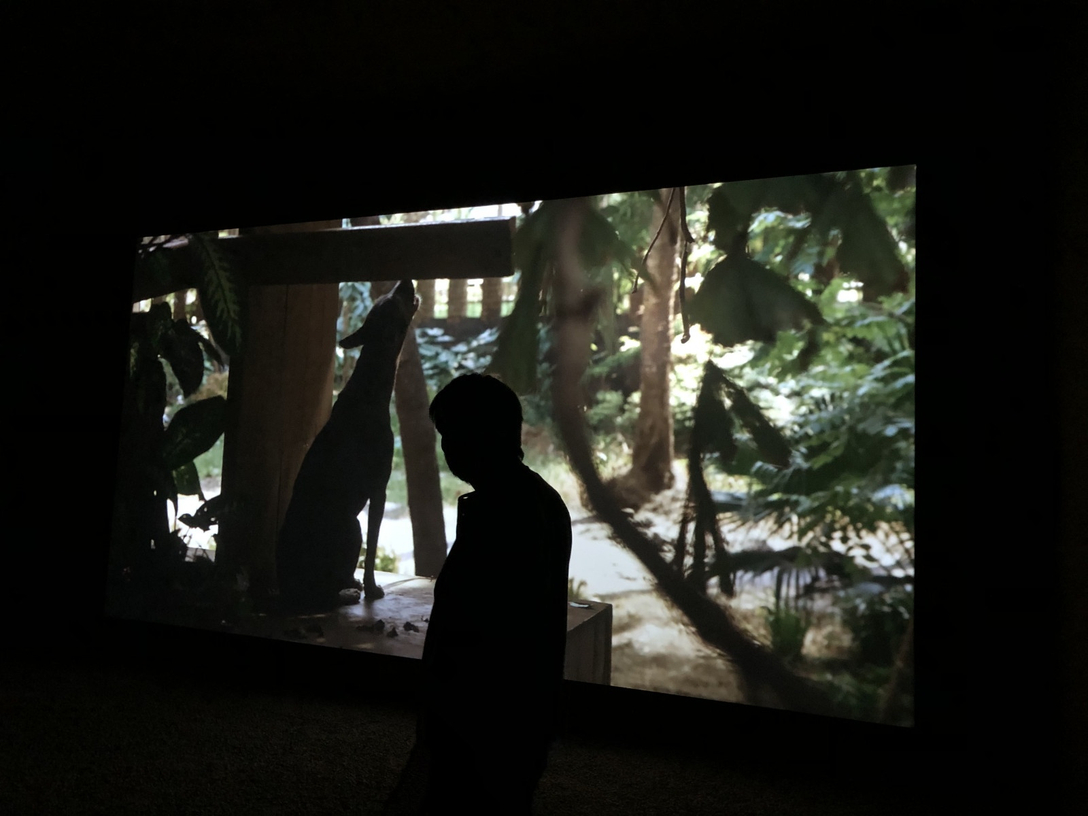 Letter from Berlin – March 20, 2020