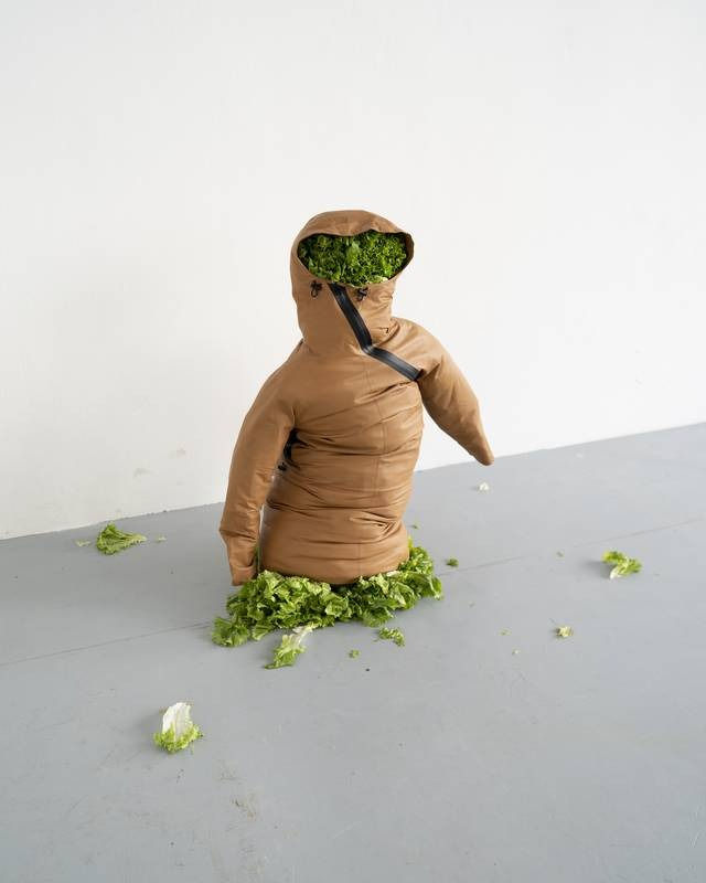 Erwin Wurm, ONE DAY YES / ONE DAY NO Solo exhibition at Camden Arts Projects