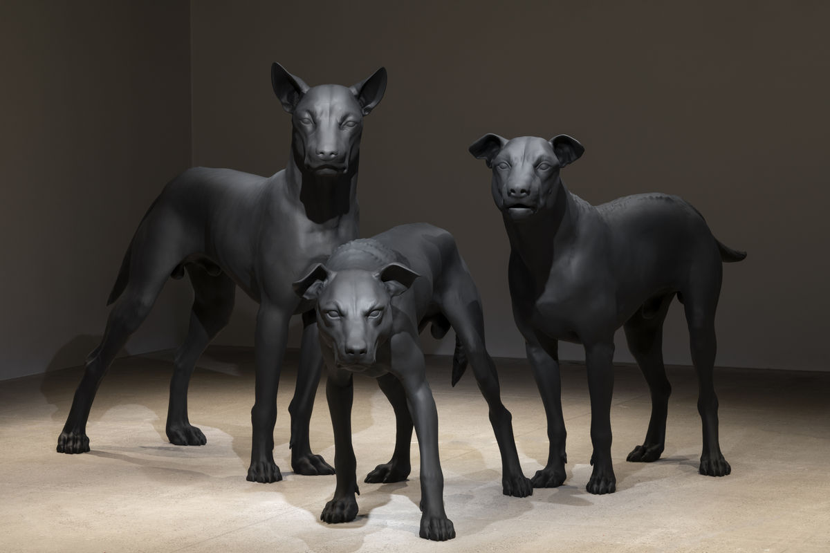 Ron Mueck: Encounter Solo exhibition at the Art Gallery of New South Wales