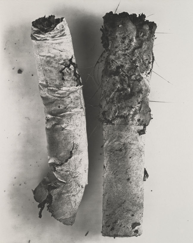 Irving Penn Acquisition of Irving Penn's Photographs