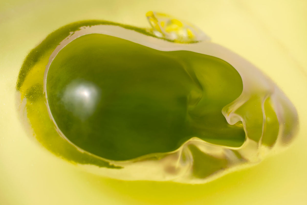 Rona Pondick: Civilizing the Self