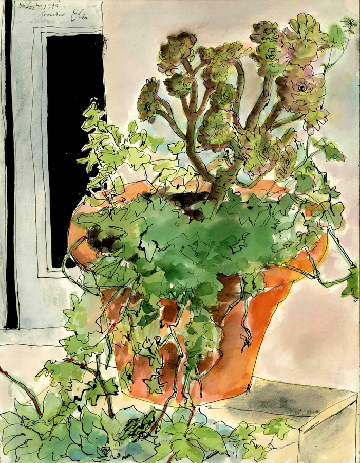 Saul Bolasni, Procchio, Island of Elba, Italy, I, 1949