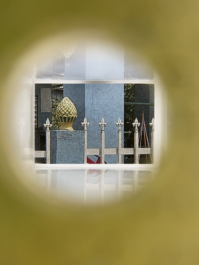 Edra Soto por la se&ntilde;al (26-11), 2026 (Viewfinder view)