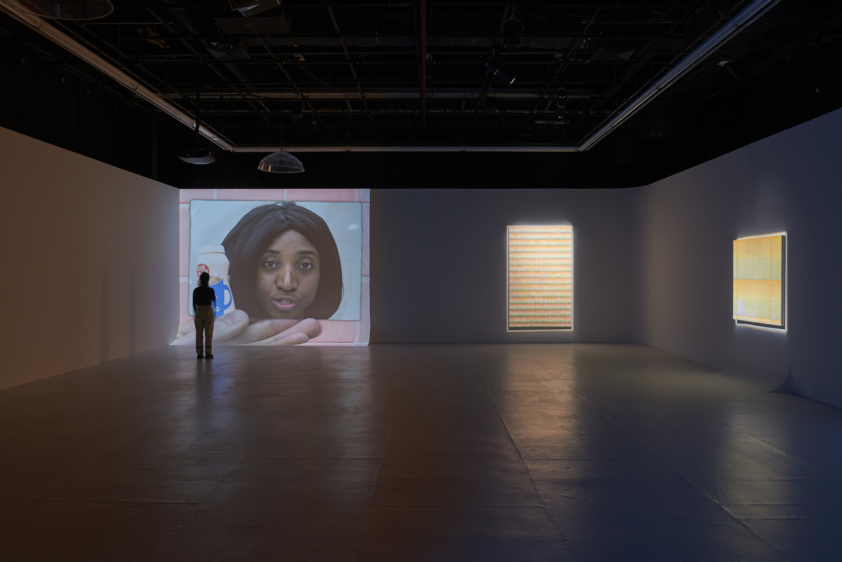 Exhibition view of Animal Static