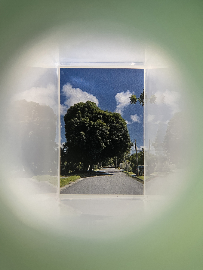 Edra Soto por la se&ntilde;al (26-2), 2026 (Viewfinder view)