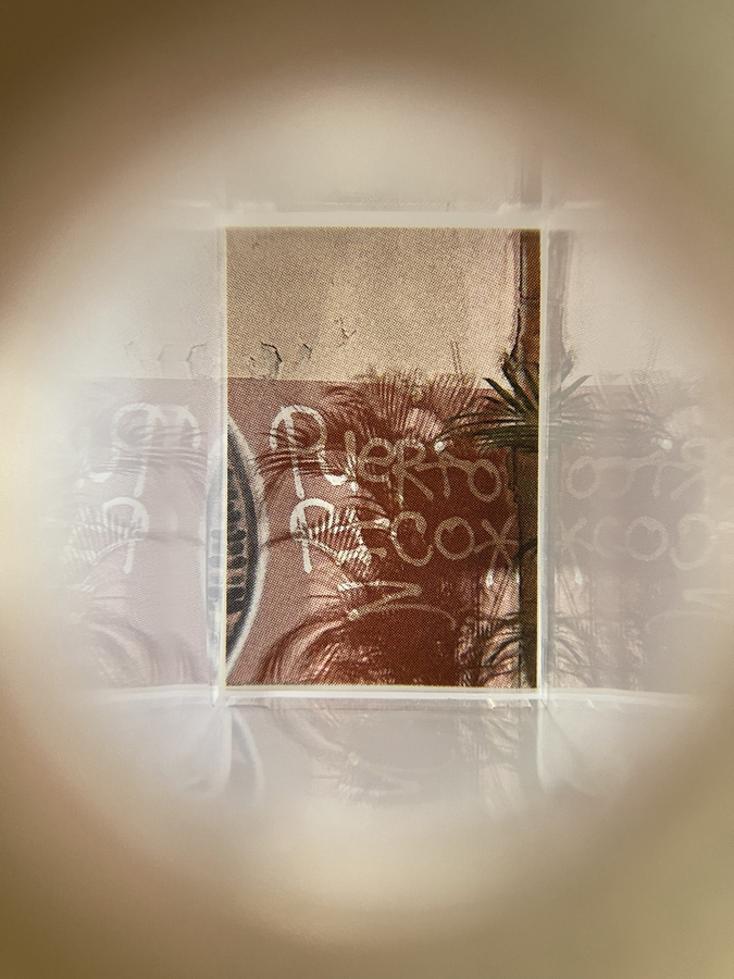 Edra Soto por la se&ntilde;al (26-5), 2026 (Viewfinder view)