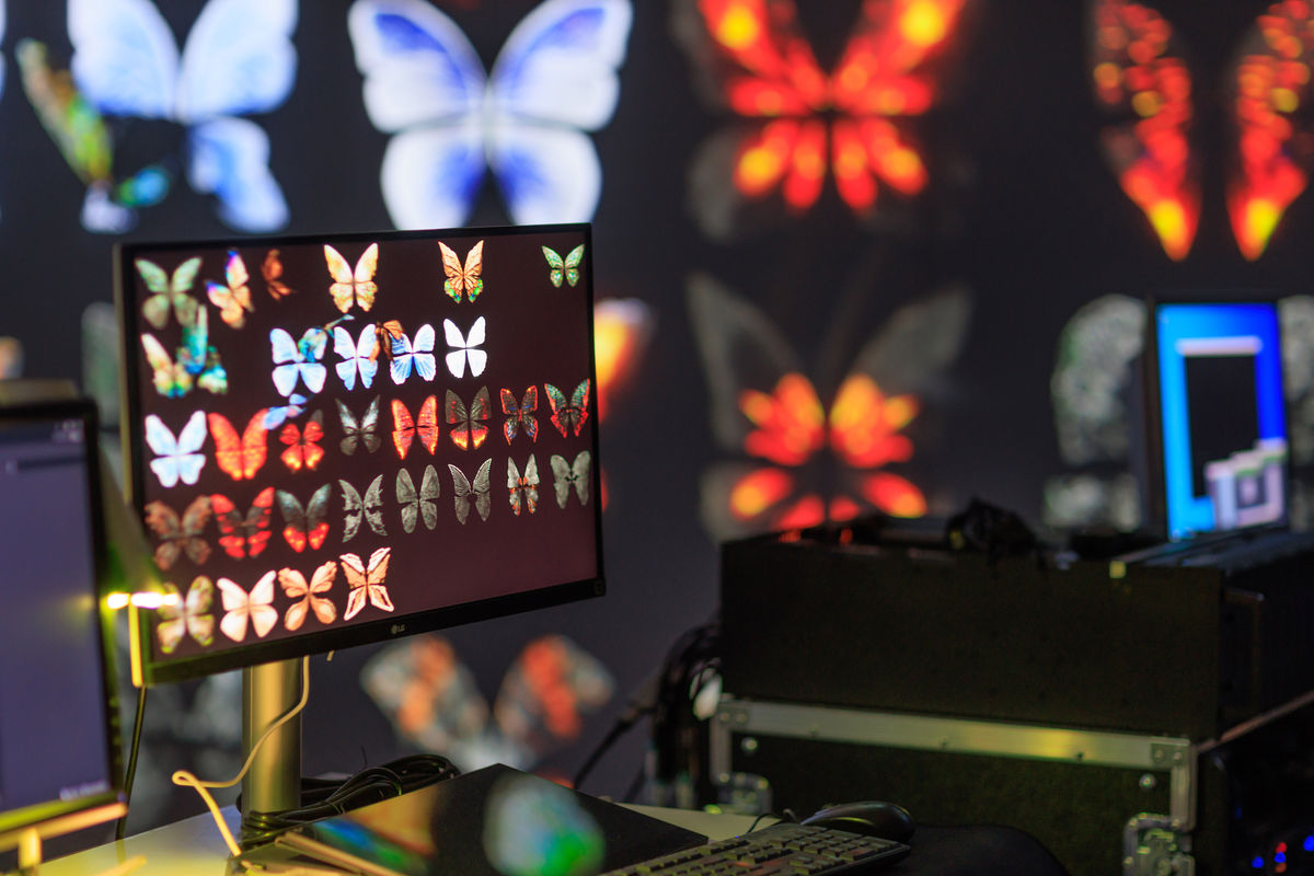 Dominic Harris / Tim Marlow In Conversation