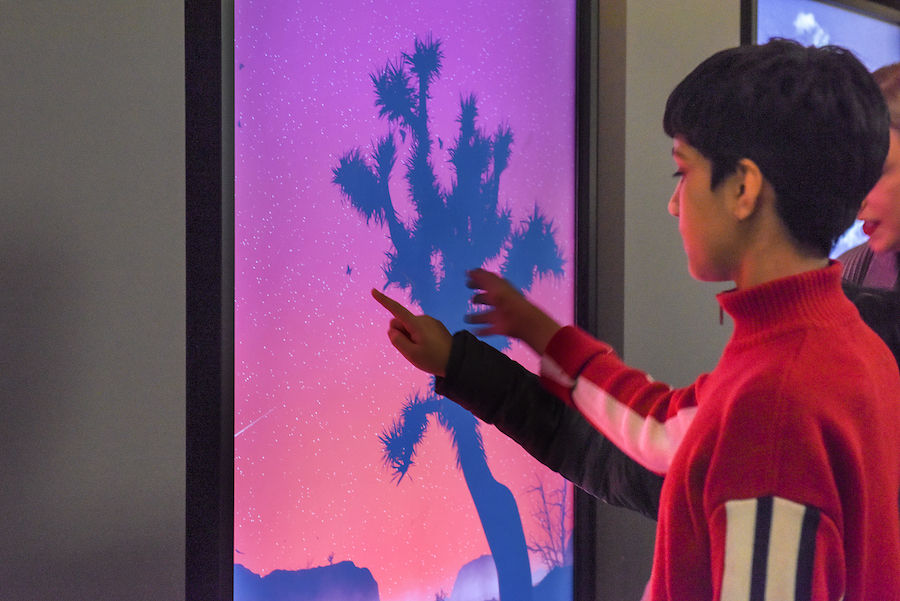 The Art of Code Dominic Harris inspires the next generation at Halcyon Gallery