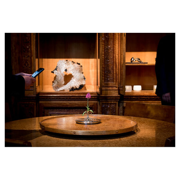 Juno Snowdon Photography Eye Of The Collector 2 Temple Place Ruup And Form Instagram 04