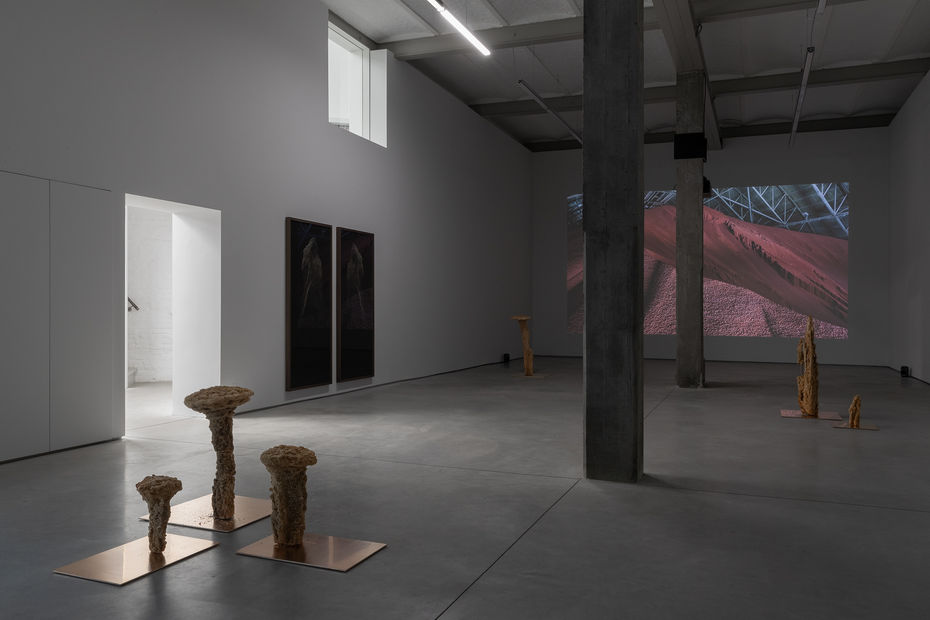 4 Ella Littwitz Exhibition View The Day The Sky Hung Low Harlan Levey Projects Brussels 2024 Photo Credit Adriaan Hauwaert Lr