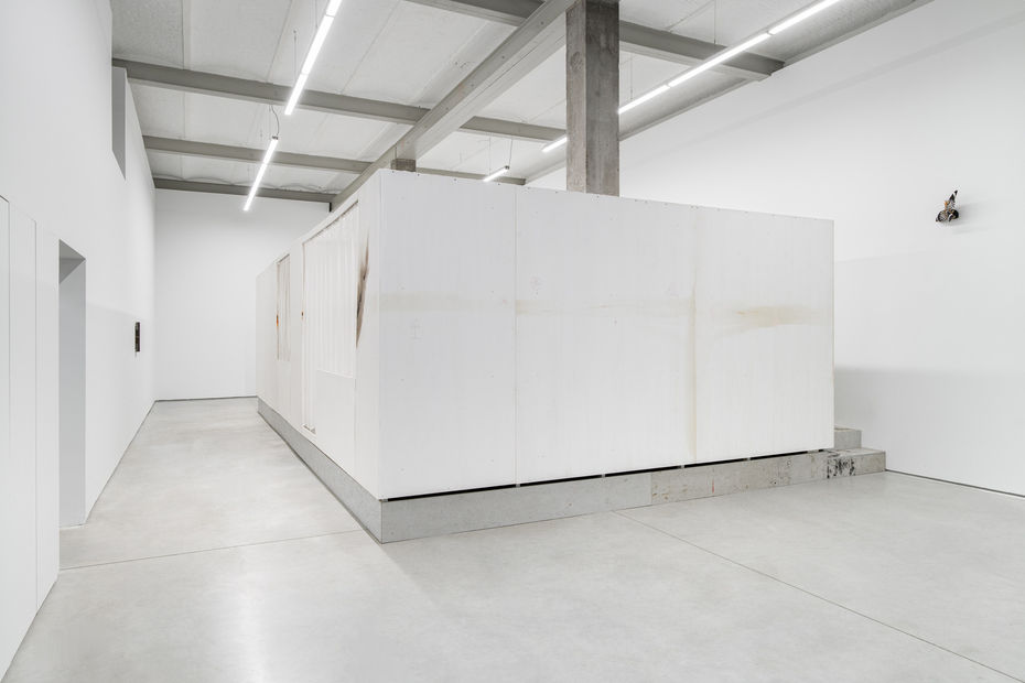 Marcin Dudek, exhibition view of NEST, Harlan Levey Projects, Brussels, 2026. Photo: Shivadas De Schrijver