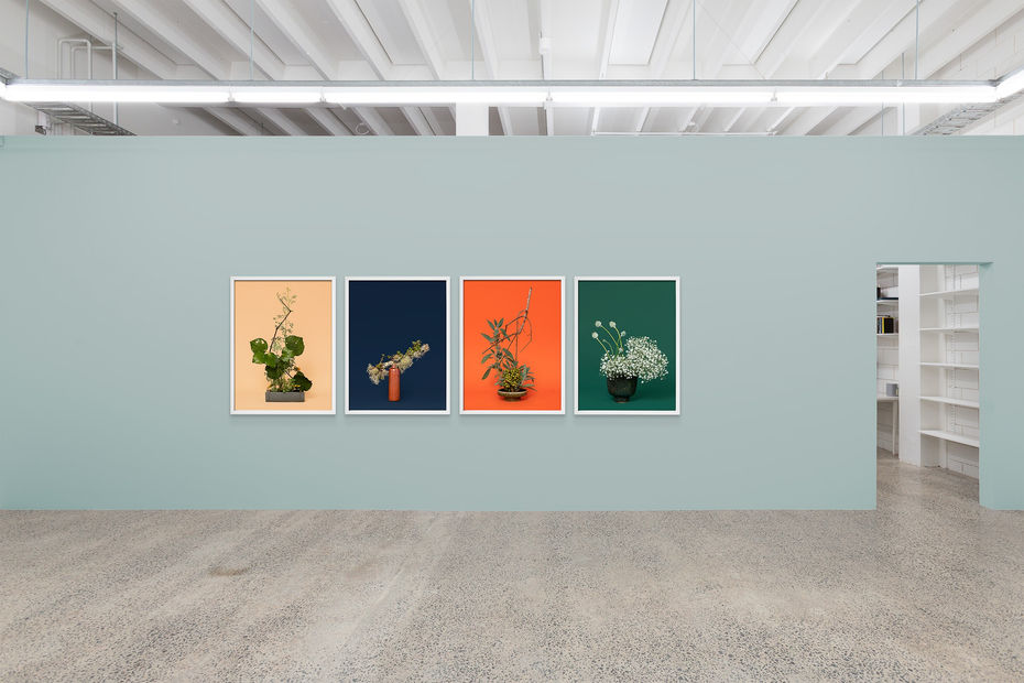 Ann Shelton Jane Says 2020 Sumer Wide