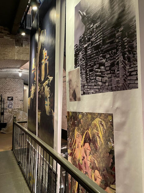 F2Ead488 C14B 46A4 8407 8Cf5596E140F