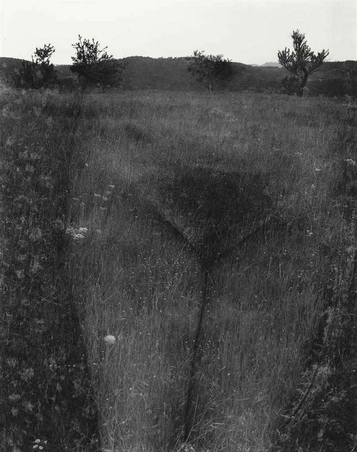 Harry Callahan, Eleanor, Aix-en-Provence, France, 1958