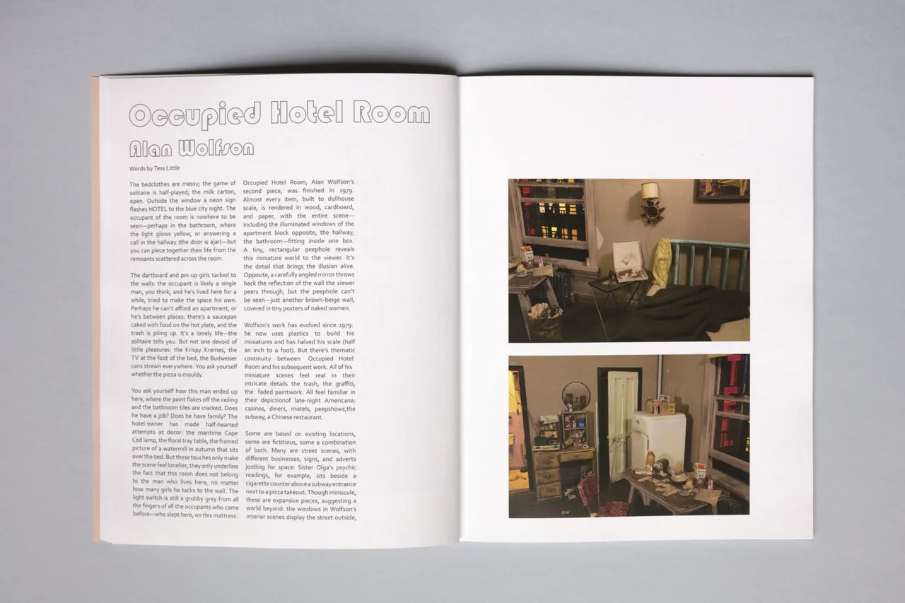 Occupied Hotel Room: Alan Wolfson. Words by Tess Little for Scenic View