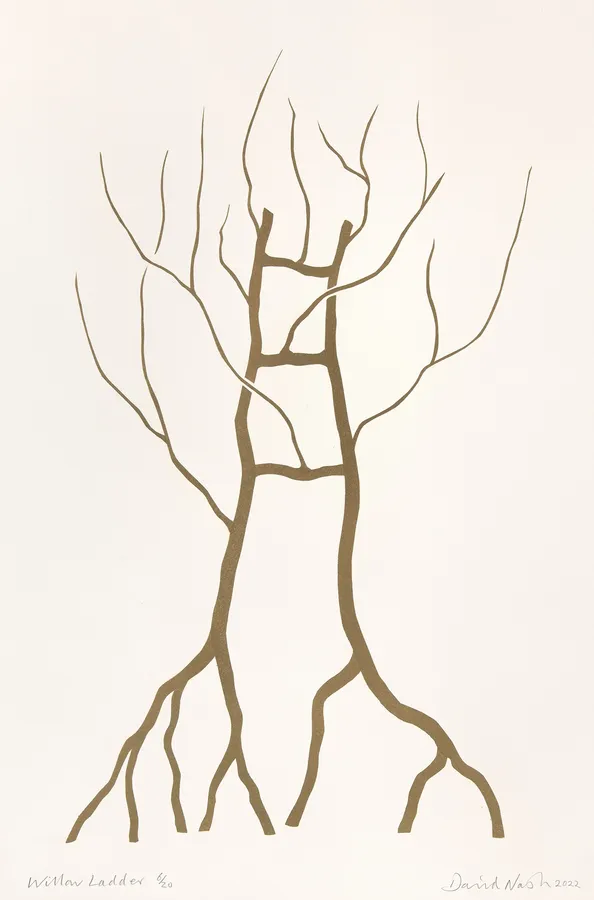 David Nash, Willow Ladder, 2022