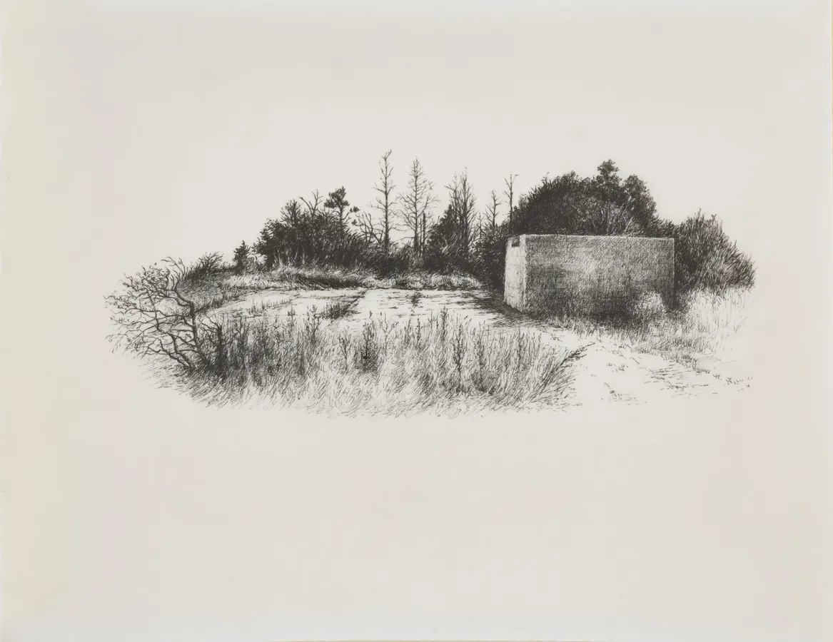 Miriam de Búrca, Dysfunctional Landscape I: Unfinished Business, 2018