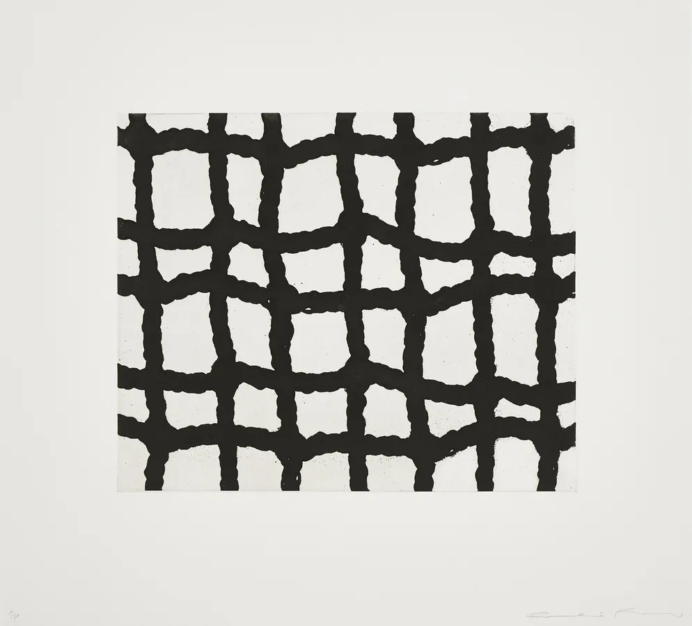 Cornelia Parker, Worry Lines 1, 2008