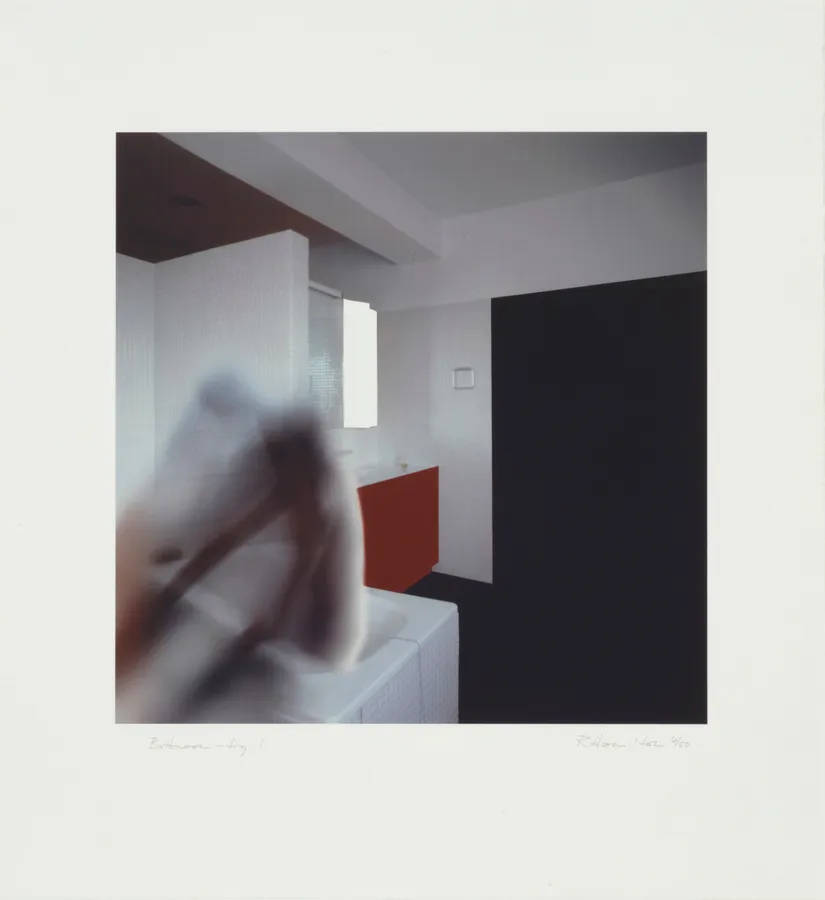 Richard Hamilton, Bathroom - fig.1, 1997