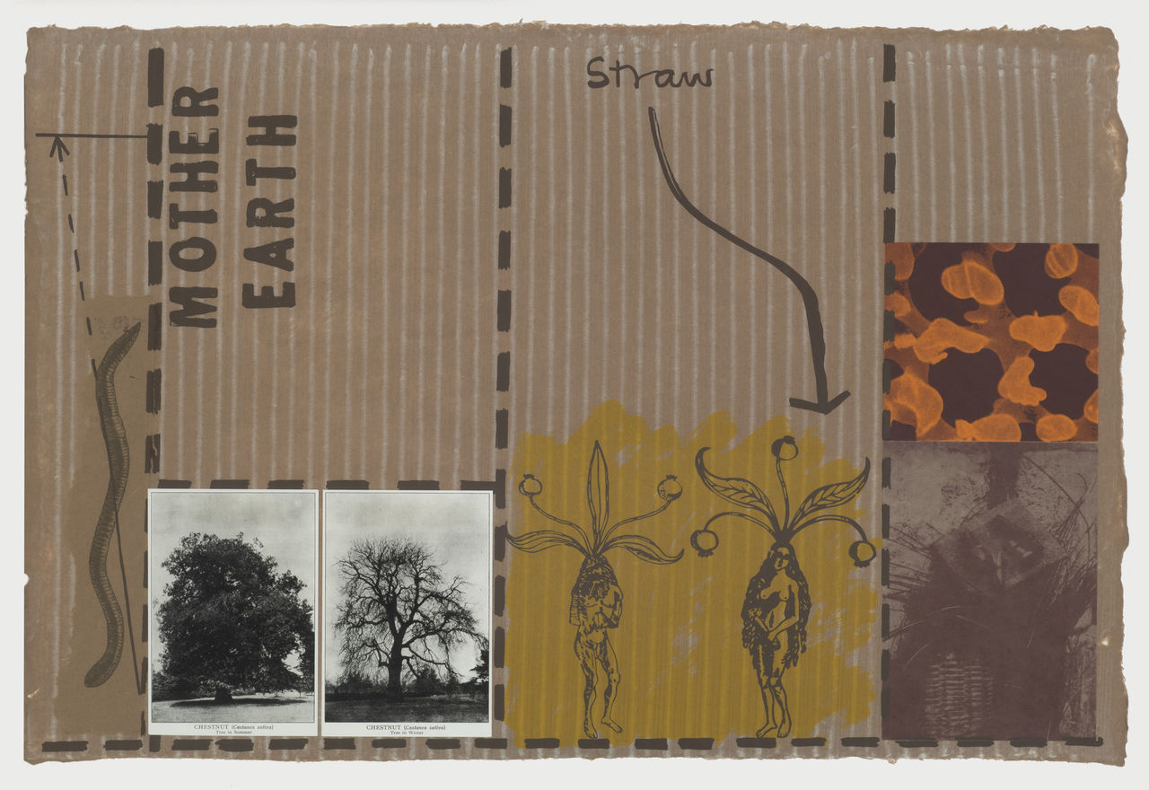 Joe Tilson, Mother Earth, 1972