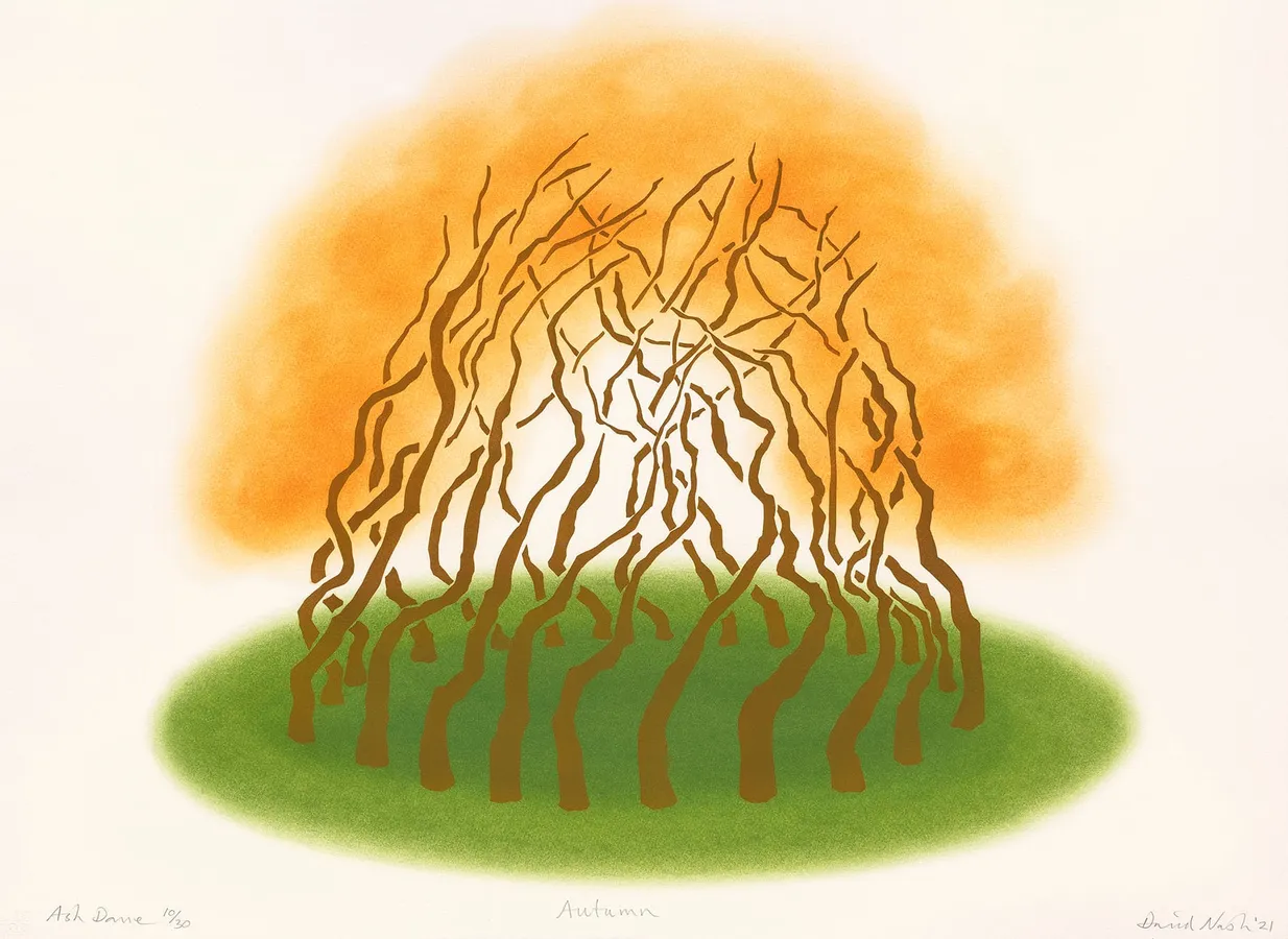 David Nash, Ash Dome Autumn, 2021